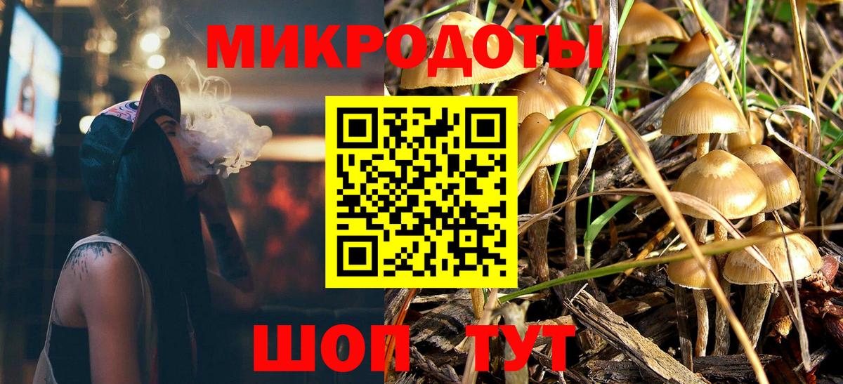 Псилоцибиновые грибы Magic Shrooms  купить  сайты  Черногорск  Вход с VPN 